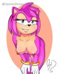 amy rose from sega by jamesdrawslewdthings