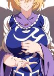 ran yakumo from touhou by umezawa itte