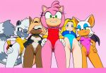 amy rose from sonic the hedgehog (series)