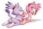 amy rose from sonic the hedgehog (series)