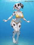 marshall (paw patrol) from nickelodeon by girlsandmermaidsfan1