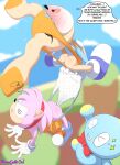 amy_rose ass chao cheese_the_chao cream_the_rabbit flying hanging_wedgie hedgehog panties rabbit sega sonic_the_hedgehog_(series) underwear wedgie