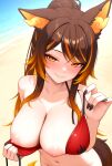 1girls ai_generated beach big_breasts bikini blush breasts breasts_out brown_hair female_only hellhound indie_virtual_youtuber indie_vtuber long_hair multicolored_hair multicolored_tail nipples orange_eyes orange_hair outside ponytail red_bikini removing_bikini_top seductive_eyes seductive_look seductive_smile sinder_(vtuber) smile solo_female virtual_youtuber vtuber wolf_ears wolf_girl wolf_tail