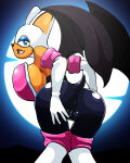 rouge the bat from sega by saittamicus