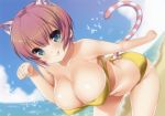 1girl big_breasts bikini breasts brown_hair cat_ears cat_girl cute green_eyes looking_at_viewer nanase_meruchi original short_hair smile tail