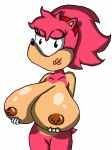  1girl amy_rose amy_rose_(classic) breasts female_only furry huge_breasts nude sega sonic_(series) sonic_the_hedgehog_(series) titsnasses 