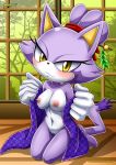 1girl anthro bbmbbf big big_ears black_nose blaze_the_cat breasts erect_nipples furry gloves gold_eyes half-closed_eyes mobius_unleashed nipples nude palcomix purple_fur pussy seductive_look sega showing_breasts sonic_(series) sonic_the_hedgehog_(series) tail