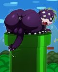  anthro ass backsack big_ass clothing coin collar day erection fangs flora_fauna front_view girly green_hair hair heart high_res humanoid_penis locke_(r-a-s-p) male male_only mario_bros nintendo not_furry outside penis piranha_plant plant pose precum purple_balls purple_body purple_penis rear_view smile spiked_anklet spiked_collar spikes sssonic2 teeth testicles thong video_games warp_pipe wide_hips 