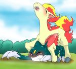 pokemon ponyta sneasel tagme