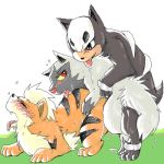  growlithe houndour pokemon poochyena 