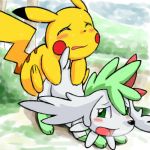  pikachu pokemon shaymin shaymin_sky_forme 