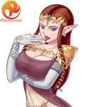 alluring big_breasts blue_eyes breasts brown_hair cleavage female female_only looking_at_viewer open_mouth pointy_ears princess_zelda reit solo the_legend_of_zelda tongue tongue_out twilight_princess