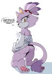 blaze the cat from sonic the hedgehog (series)