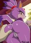 blaze the cat from sonic the hedgehog (series)