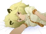 kemono_friends lion_(kemono_frieds) ookamiuo tagme