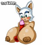  1boy 1girl anthro bat big_breasts big_penis breasts echidna female interspecies knuckles_the_echidna male male/female paizuri penis rouge_the_bat sega sonic_the_hedgehog_(series) straight titsnasses 