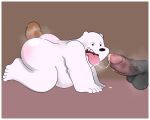 absurd_res all_fours anal anal_sex animameth anthro blush bodily_fluids brown_bear cartoon_network chubby_anthro chubby_male cum cum_in_mouth cum_inside ejaculation female_ice_bear fur gay_sex genital_fluids giant_panda grizzly_(wbb) grizzly_bear group high_res ice_bear male male/male mammal panda_(wbb) penetration polar_bear simple_background tongue tongue_out trio ursid ursine we_bare_bears white_body white_fur yaoi