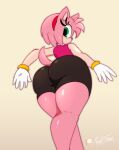 1girl amyrose big_butt female furry mautisskunk sonic_the_hedgehog