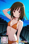 1girl 1girl 1girl ai_generated arm_behind_head bangs bikini black_hair blush breasts brown_eyes brown_hair clavicle closed_mouth clothing cloud cowboy_shot littlehentai looking_at_viewer medium_breasts medium_hair monogatari_(series) navel night orange_bikini orange_swimsuit outside parted_lips savitar savitar_(artist) sengoku_nadeko short_hair sky small_breasts string_bikini swimsuit yellow_bikini yellow_swimsuit