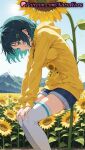 1girl 1girl 1girls 2025 ai ai_assisted ai_generated anime anime_style aqua_hair big_breasts blue_eyes blue_hair blue_shorts blue_sky breasts bust day denim denim_shorts feet_out_of_frame female_focus female_only field flower flower_field flowers from_side green_hair grin hair_clips hair_ornament hairclip hands_on_own_knees hentai high_quality high_res high_res high_resolution hood hood_down hoodie leaning_forward long_sleeves looking_down medium_breasts mountain mountainous_horizon multicolored_hair natsuyoru non-asian ooto_ai outside patreon short_hair short_shorts shorts sitting sky smile solo_female stable_diffusion stockings sun sunflower sunflower_field sunlight teeth voluptuous voluptuous_female white_legwear white_thighhighs wonder_egg_priority yellow_flower yellow_hoodie zettai_ryouiki