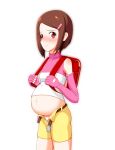 big_breasts breasts brown_eyes brown_hair digimon digimon_adventure female pregnant solo yagami_hikari yorotoru