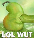  food inanimate lol_wut meme pear the_biting_pear_of_salamanca 