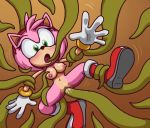 amy rose from sonic (series) by sodajoik