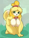 1girl 1girl 2017 absurd_res all_fours animal_crossing anthro areola big_breasts black_nose blonde_hair blush breasts canine collar dipstick_tail dog eyelashes furry green_eyes hair high_res isabelle_(animal_crossing) looking_at_viewer mammal multicolored_tail nintendo nipples pussy shih_tzu skoon video_games