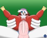 avian beak beret delibird infiniteblue legs_up lugia pokemon vaginal