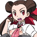 adjusting_hair bloggerman pokemon pokemon_(anime) porkyman roxanne