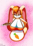 1girl 1girl 2017 anthro apron big_breasts breasts cleavage clothed clothing cookie cornchip21 food furry high_res huge_breasts lagomorph looking_at_viewer mammal mature_female rabbit ravnic sega smile vanilla_the_rabbit