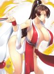 fatal_fury haganef king_of_fighters mai_shiranui snk