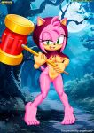 amy rose from mobius unleashed by bbmbbf