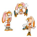 cream the rabbit from sega