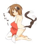  1girl 2110_(artist) animal_ears ass bad_id brown_eyes brown_hair cat_ears cat_tail cat_tails chen chen_yakumo earrings female jewelry multiple_tails n_(2110_img07) nervous panties short_hair solo sweatdrop tail topless touhou underwear undressing 