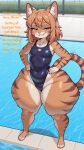  1girl 1girl 1girl ai_generated anthro anthro_female anthro_focus anthro_only belly_button_visible_through_clothes belly_button_visible_through_clothing cameltoe cat_ears cat_girl cat_tail catgirl cub cub_female fat_thighs female_anthro female_cub female_focus female_only furry furry_female furry_only girl_focus girl_only girl_solo green_eyes grin grinning grinning_at_viewer hands_on_hips huge_thighs large_thighs legs_apart legs_open legs_spread looking_at_viewer medium_hair navel_visible_through_clothes one-piece_swimsuit orange_fur orange_hair pool pool_background poolside shortstack slim_waist small_breasts smirk smirking smirking_at_viewer solo_anthro solo_female solo_focus solo_girl striped_fur striped_markings striped_tail swimming_pool swimsuit swimwear tabby_cat tabbycat tagme talking talking_to_viewer teeth teeth_showing teeth_visible text thick_thighs tight_clothes tight_clothing tight_swimsuit tight_swimwear toothy_grin toothy_smile visible_teeth wide_hips young young_anthro young_girl 