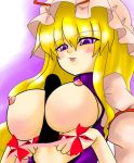 tagme touhou yukari_yakumo