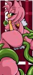 amy rose from sega by sonicdash