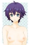 atlus bad_id blue_eyes blue_hair breasts mot nipples nude persona persona_4 shirogane_naoto short_hair