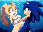 1futa 1futa1girl 1girl aged_up ai_generated asphyxiation beige_skin blue_skin blush breasts bubble cream_the_rabbit drowning female futa_rapist futanari genderswap hedgehog jscammie lagomorph nipples nude peril rape raped_by_futa raped_female restrained_arms sega sex shocked sonic_(series) sonic_the_hedgehog sonic_the_hedgehog_(series) sonique_the_hedgehog tagme underwater underwater_peril underwater_rape underwater_sex waist_grab