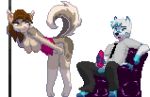 1boy 1girl 2016 alpha_channel animal_genitalia anthro arctic_fox ass bent_over blue_eyes blue_fur bouncing_breasts breasts brown_eyes brown_fur brown_hair canine chair clothing corset dancing digital_media_(artwork) dog female fox fur furry gif grey_eyes hair heterochromia husky hypnotickitten lingerie low_res male male/female mammal masturbation neck_tie pixel_(artwork) pixel_art pole pole_dancing simple_background suit teasing white_fur