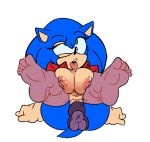 sonic the hedgehog from sega by cuisine