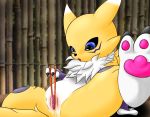 chopsticks clitoris digimon eating labia pussy renamon sushi