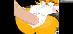 creampie ctrl-z furry genderswap gif miles_"tails"_prower millie_tailsko tails_the_fox vaginal