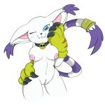 1girl anthro areola bell bell_collar belly big_breasts black_nose blue_eyes breasts claws clitoris clothing collar dicey digimon ear_tuft feline fur furry gatomon gloves long_tail mammal nipples one_eye_closed pink_nipples pussy tail_ring tealxstreak tuft white_fur wink