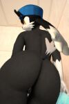 black_fur female_only furry furry_female furry_only klonoa namco otarlette roussil97