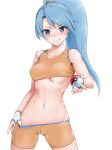 battle_girl_(pokemon) comugico covered_nipples crop_top holding holding_poke_ball looking_at_viewer medium_breasts nipples poke_ball pokemon pokemon_(game) pokemon_oras shirt_lift underboob