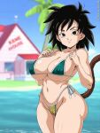 1girl bikini dragon_ball dragon_ball_super dragon_ball_super_broly female female_only gine milf sano-br shounen_jump