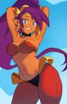 shantae (character) from shantae