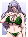  1girl alluring big_breasts camilla_(fire_emblem) fire_emblem fire_emblem_fates fire_emblem_warriors inabakun00 intelligent_systems lavender_eyes lavender_hair nintendo pin_up watermelon_bikini 